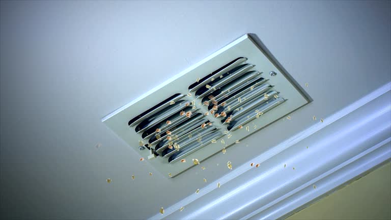 Best HVAC Maintenance and Cleaning  in Carpendale, WV